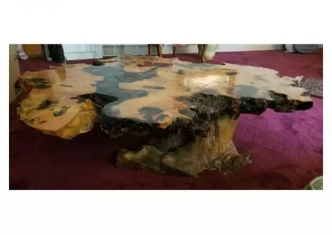 BEAUTIFUL CYPRESS TREE WOOD COFFEE TABLE SEALED WITH CLEAR HIGH GLOSS SEALANT